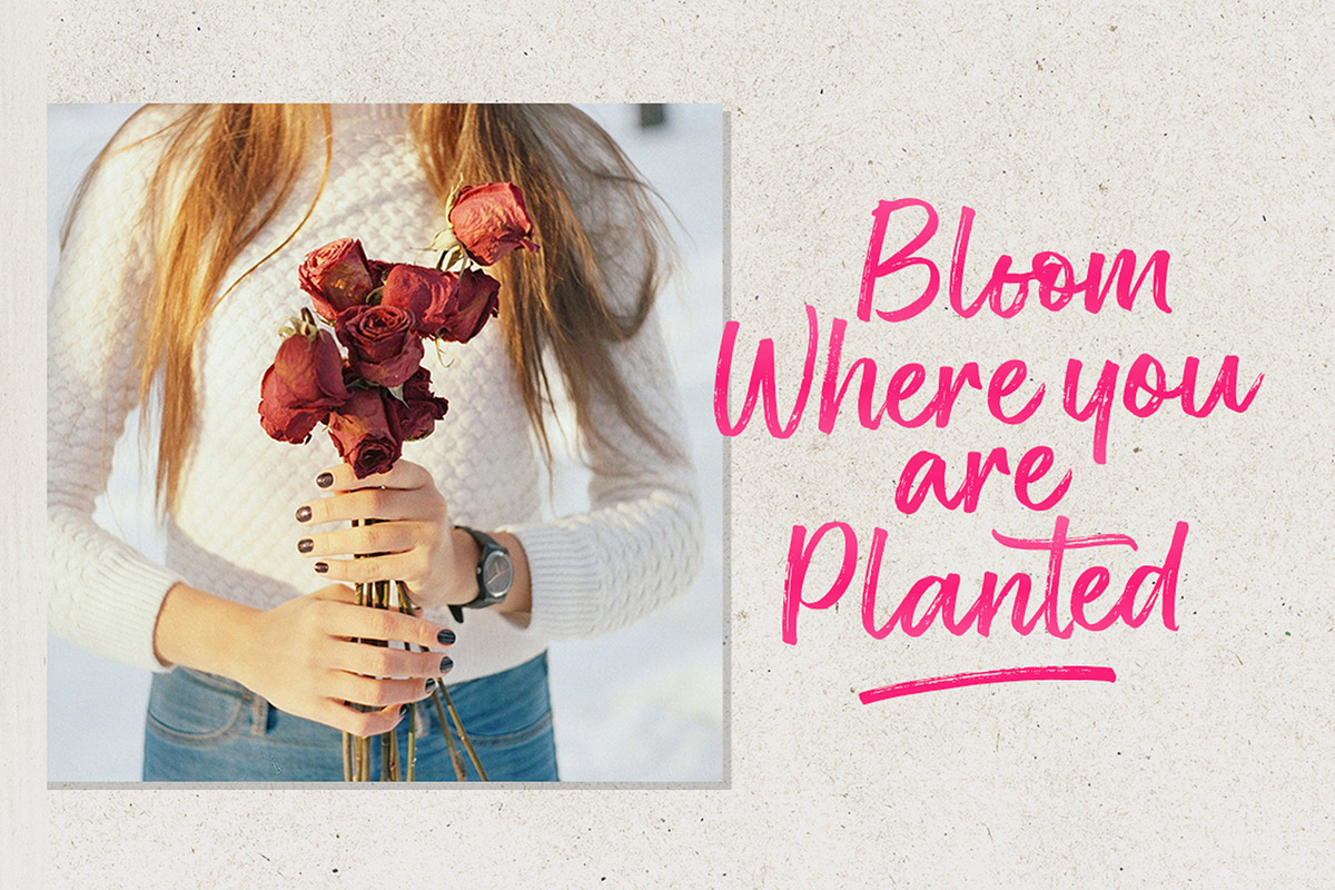 Rose Spe, a Script Font by Stripes Studio (Photo 4 of 9)