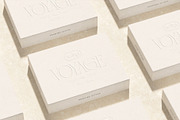 French Voyager - Chic Ligature Serif, a Serif Font by SilverStag Type Foundry (Thumbnail 14 of 23)