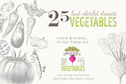 ORGANIC LOGO ELEMENTS – VEGETABLES, an Illustration by Friendly Label (Thumbnail 2 of 6)