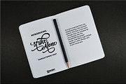 Strike Alone Script, a Script Font by Debut Studio (Thumbnail 2 of 6)