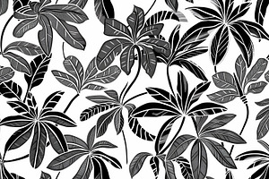Pattern of black and white tropical, a Wallpaper Photo by Imaginarium