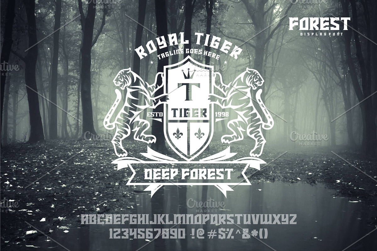 FOREST preview 5