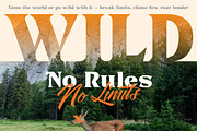 Pastel Trunk - Font Duo, a Serif Font by ErgibiStudio (Thumbnail 9 of 14)