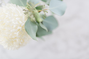Peaceful Floral Premium Stock Image