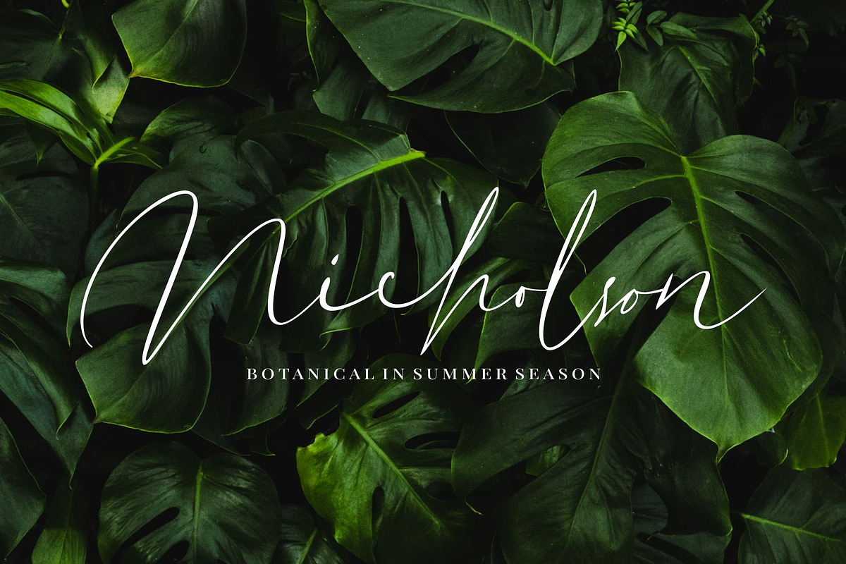 Dutchly - Modern Handwritten preview 8