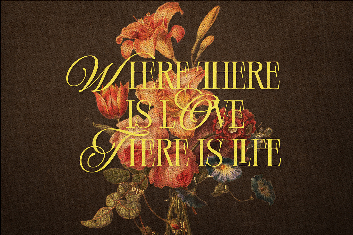 Black Saphire - Hybrid Serif, a Serif Font by Krismagraph (Photo 6 of 14)