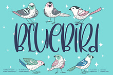 BlueBird Quirky LS