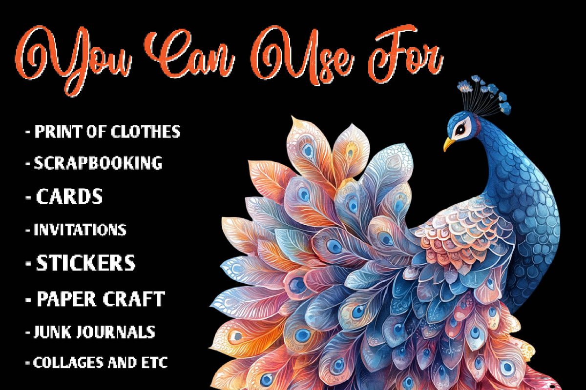 Wedding Peacock Clipart, an Illustration by CreationArt (Photo 5 of 9)