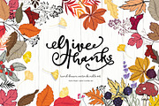 Autumn/Fall for Give Thanks Handdraw, a Decorative Illustration by MooBeer (Thumbnail 1 of 4)