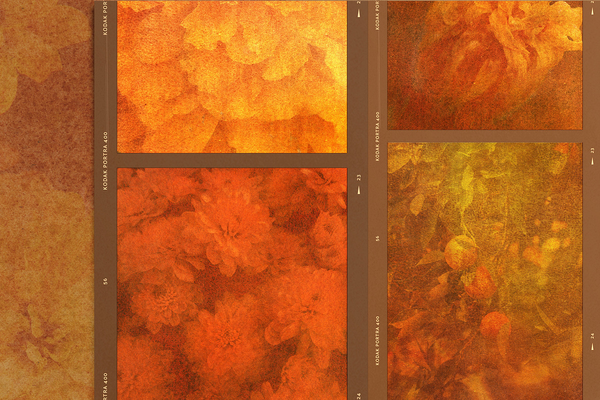 FloraAmber · Botanical Backgrounds, a Background Graphic by alonahaidash (Photo 2 of 16)