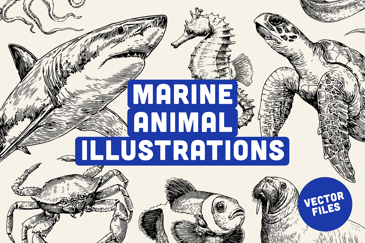 25 Marine Animal Illustrations, an Animal Illustration by Vectorian (Photo 1 of 5)