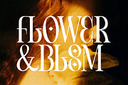 Vienna Modern Serif Font, a Serif Font by Fortunes Co (Thumbnail 13 of 15)