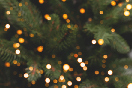 Defocused fir tree with golden bokeh, a Holiday Photo by rorygez fresh
