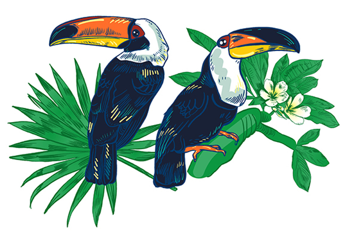 TOUCAN, an Animal Illustration by Tanya Akhmett (Photo 5 of 11)