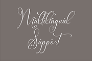Mendikari Chic Calligraphy Font, a Script Font by Storytype Studio (Thumbnail 12 of 14)