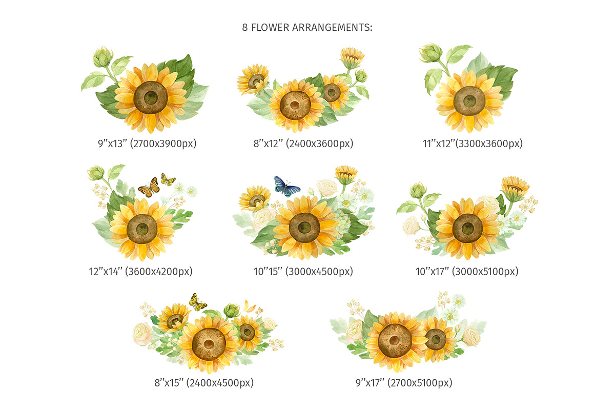 Sunflowers clipart, patterns, frames, a Decorative Illustration by Valin Malin (Photo 4 of 16)