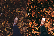 10 Autumn Leaves Lightroom Presets, a Preset Add-On by RamsaGraphi (Thumbnail 7 of 10)