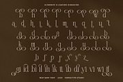 The Safiera Elegant Serif Font, a Serif Font by Perfectype (Thumbnail 8 of 8)