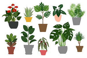 Tropical Plants Vector.