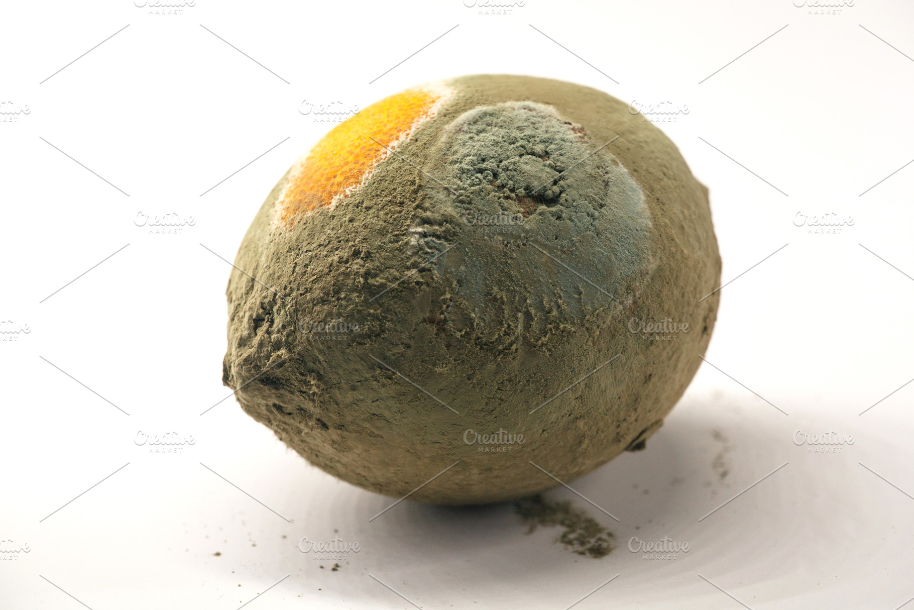 Moldy lemon isolated on white background. Close-up of decaying lemon with white, a Health & Medical Photo by Rohan Photography