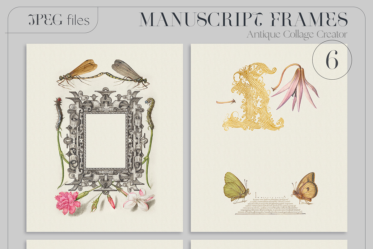 ANTIQUE Collage Creator Art Elements, an Object Graphic by Oksana Trygub (Photo 15 of 29)