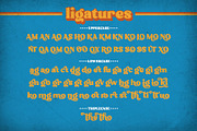 Broking Typeface, a Serif Font by alit design (Thumbnail 13 of 17)