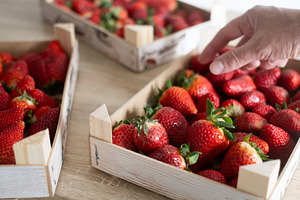 Fresh strawberries on wooden boxes, a Food & Drink Photo by etorres69
