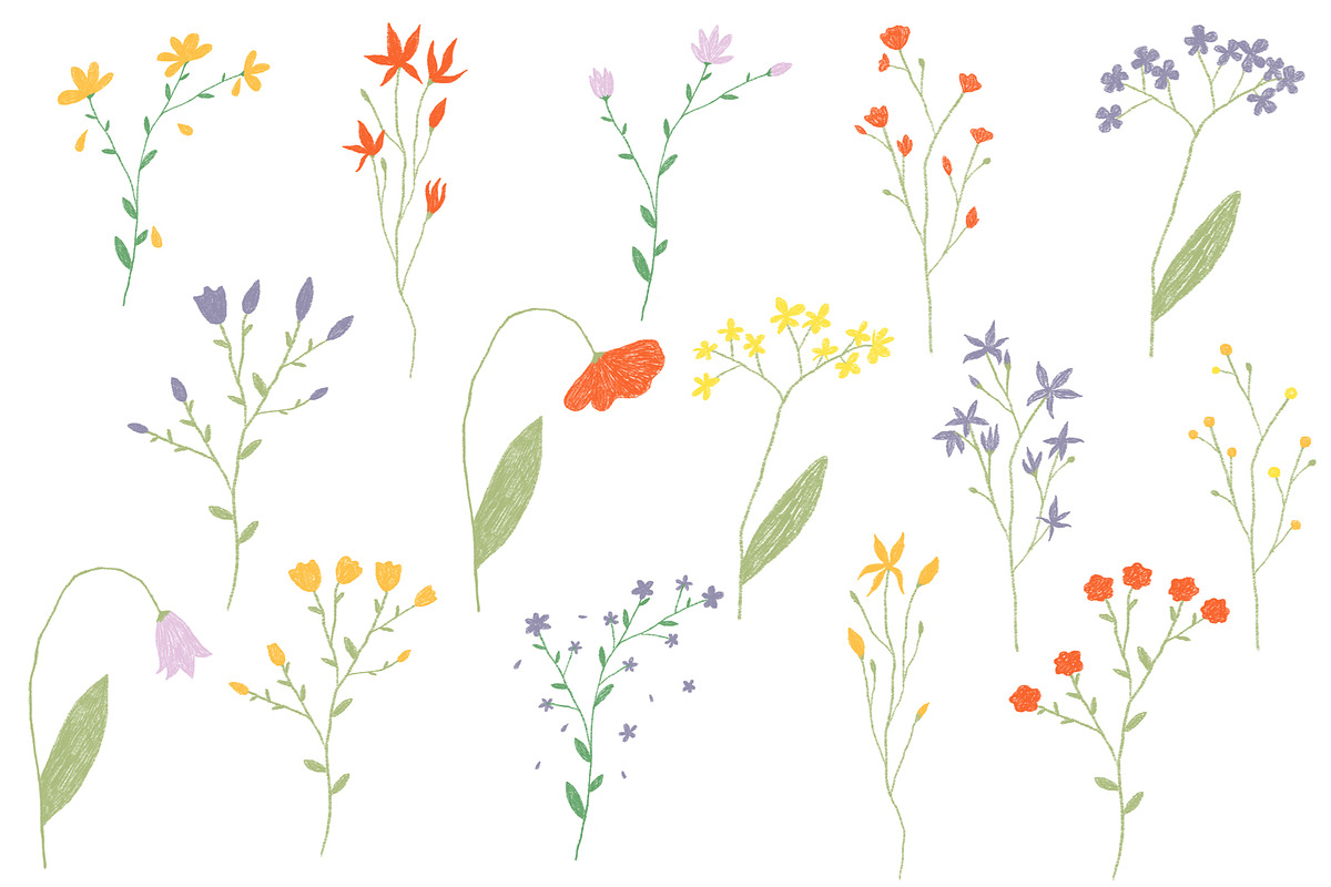 Press flowers aesthetic, a Decorative Illustration by Ksusha shop (Photo 2 of 5)