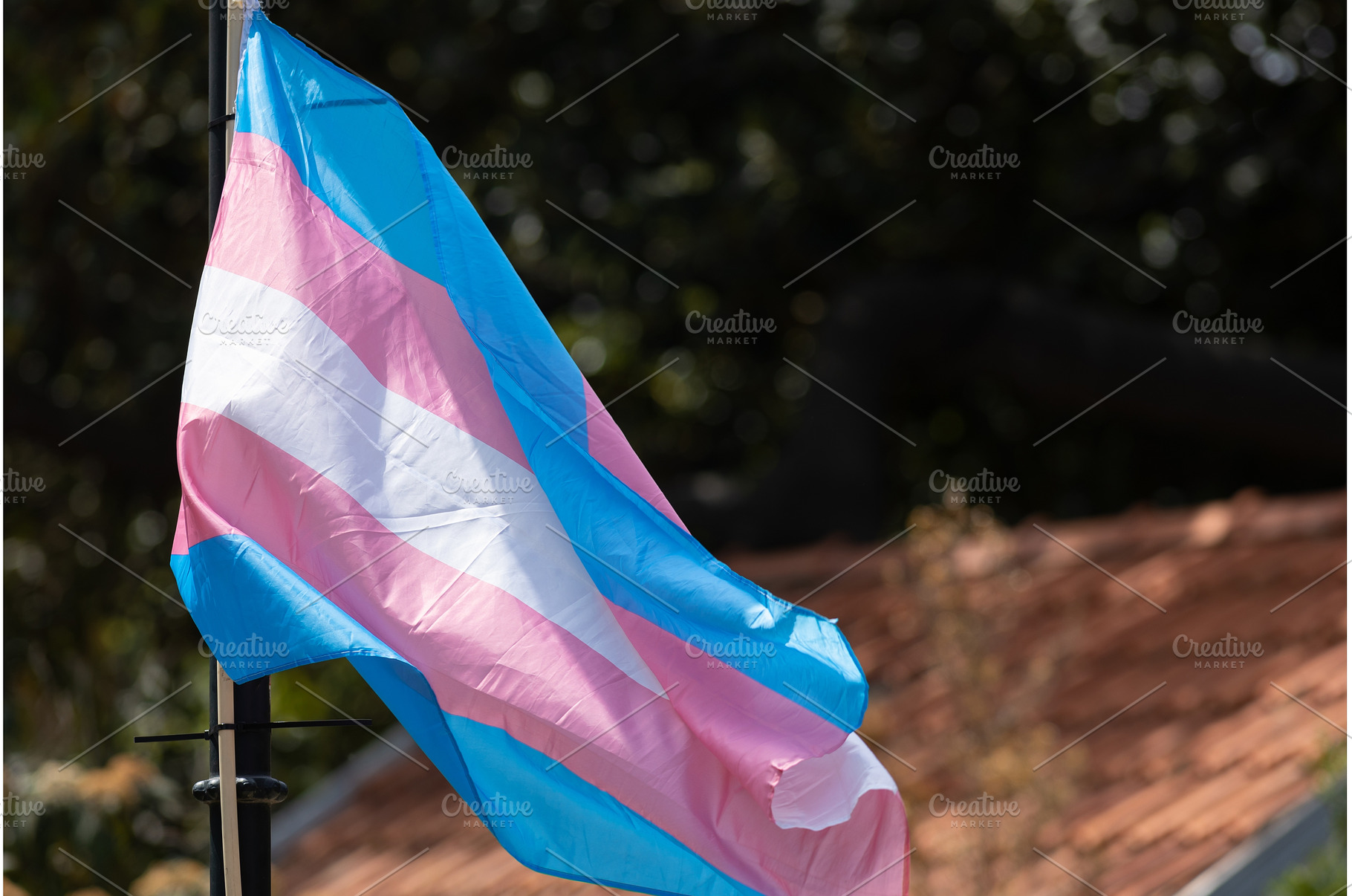 A transgender flag outdoors at the, a Person Photo by Barcelona_dreams