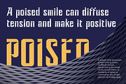CS Frank – Solid Font, a Sans Serif Font by Craft Supply Co. (Thumbnail 2 of 8)