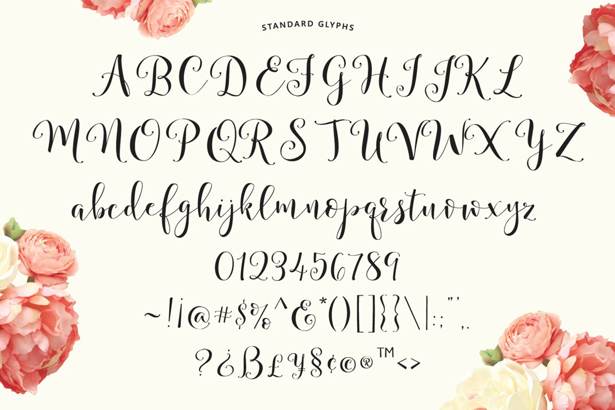 Storybook Calligraphy Script, a Script Font by Emily Spadoni (Photo 10 of 10)