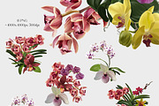 Realistic orchid oil - Bundle flower, a Decorative Illustration by NNclipart (Thumbnail 3 of 4)