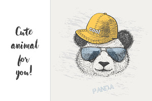 cool Panda