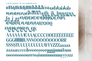 Quarky Kitchen Modern Serif Font, a Serif Font by timelesstype.co (Thumbnail 19 of 20)