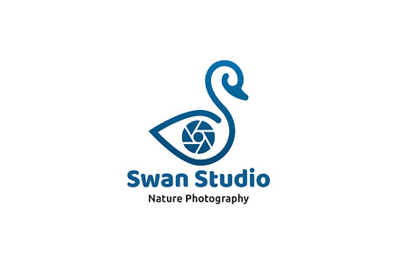 Swan Photography