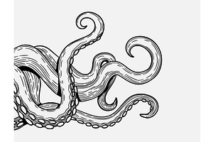 Tentacles Banner. Octopus Tentacle