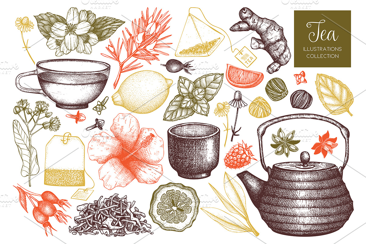 Vector Tea Illustrations Set, a Food Illustration by Yevheniia