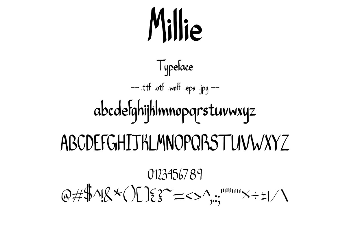 Font Millie. Modern Calligraphy., a Sans Serif Font by PageLightStudios (Photo 3 of 6)