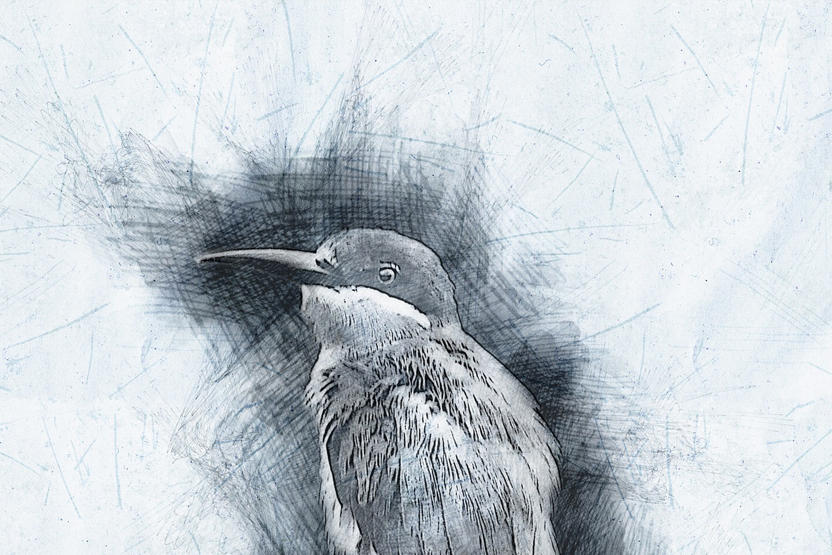 PRO SKETCH Photoshop Actions, an Action Add-On by MRI STUDIO (Photo 19 of 19)