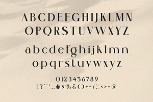 Drallen Modern Ligature Serif Font