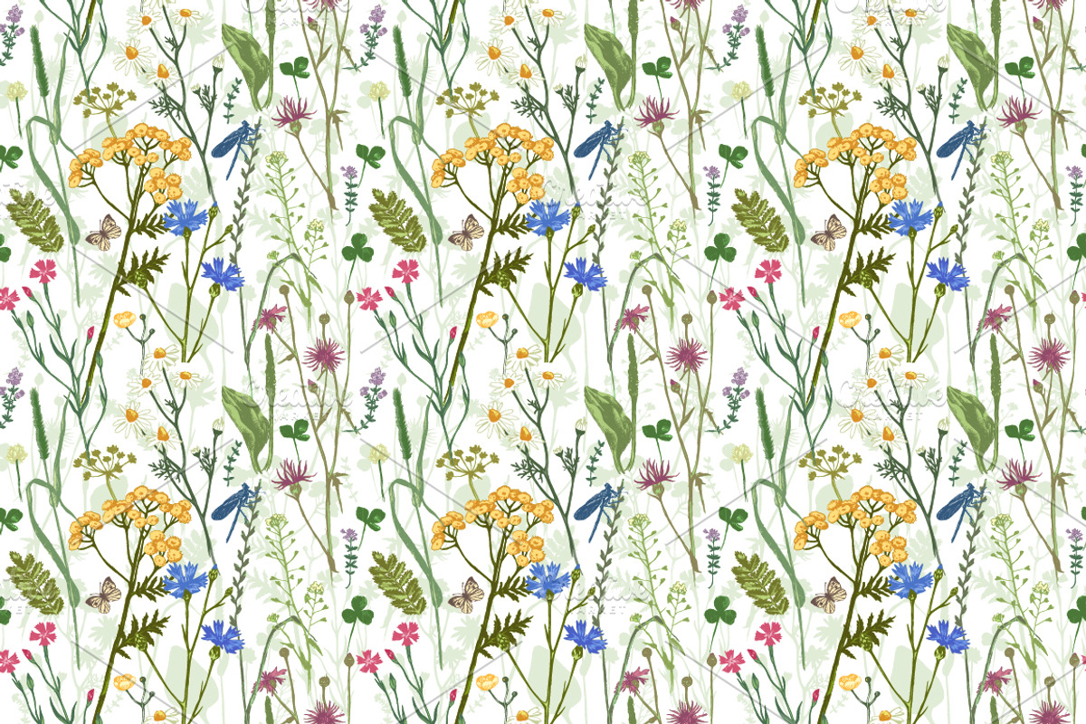 Meadow herbs and flowers, a Decorative Illustration by handsketched (Photo 5 of 7)