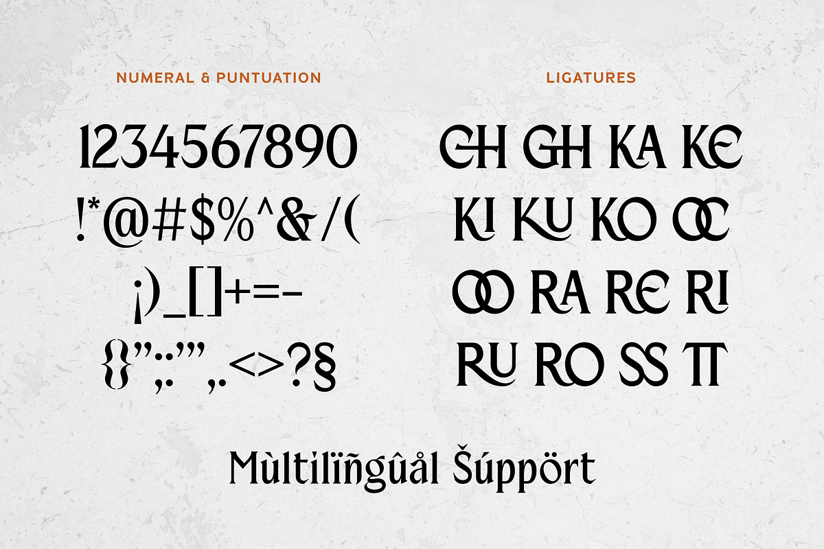 Beiruth - Serif Font, a Serif Font by Sronstudio (Photo 16 of 16)