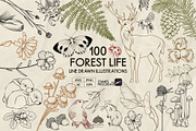Forest Life Line Art + Procreate, an Object Illustration by Skliarova (Thumbnail 1 of 6)