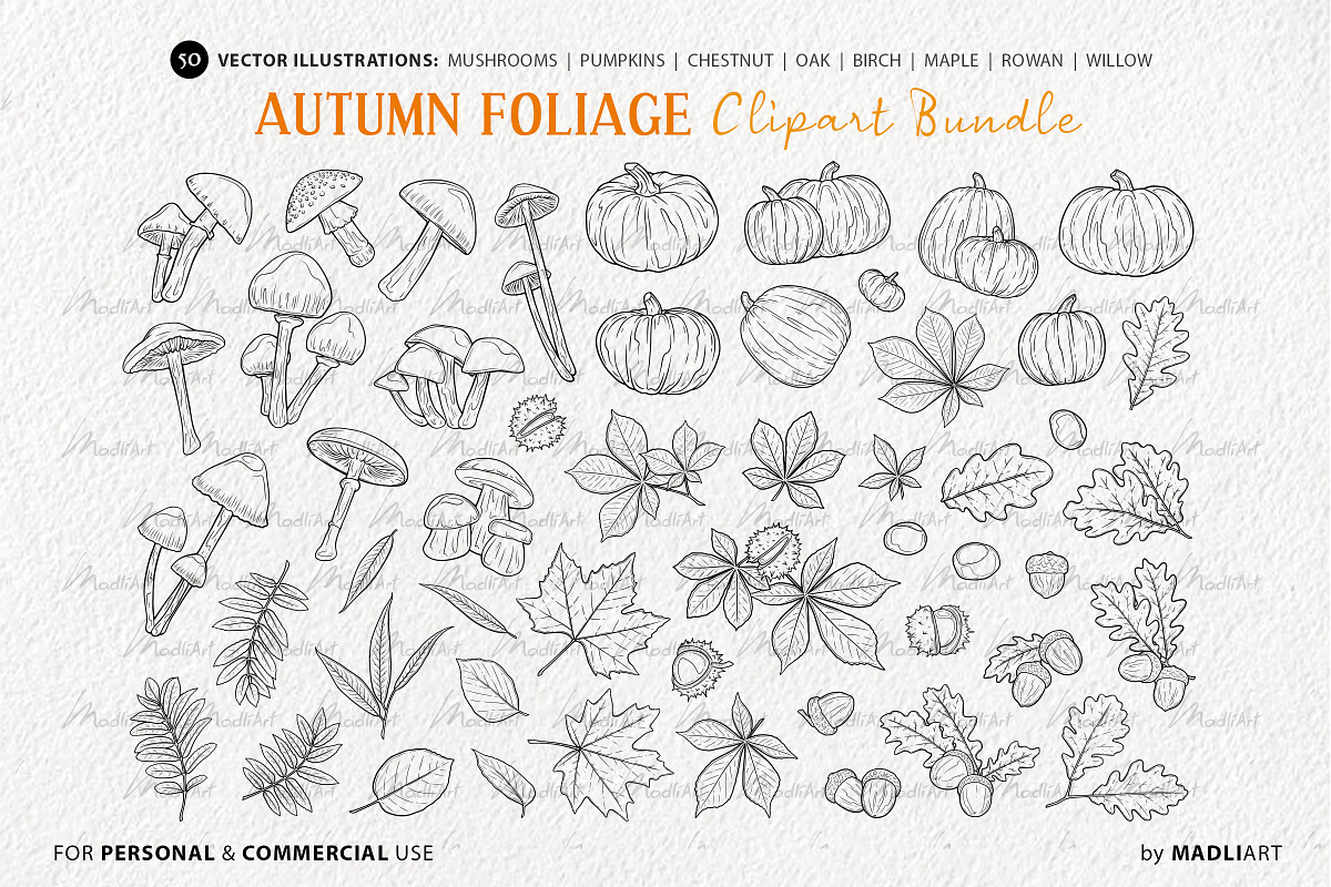 Autumn Fall Foliage Vector Line Art, an Animal Illustration by MadliArt (Photo 3 of 4)