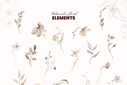 Neutral Botany Watercolor Clipart, a Decorative Illustration by Yuliia Lashevska (Thumbnail 10 of 11)