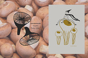 Magnificent Mushrooms, a Food Illustration by Annakniaz (Thumbnail 8 of 15)
