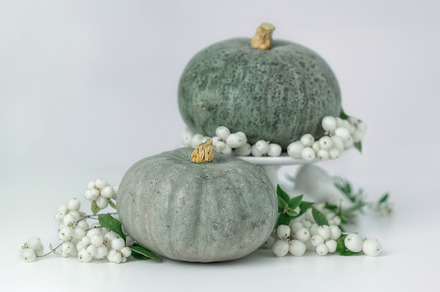 Green pumpkins with white berries