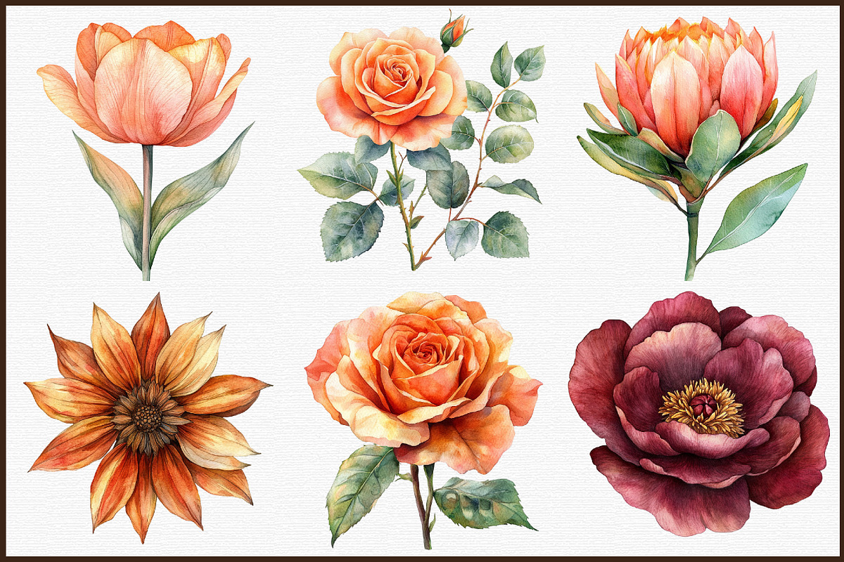 Sunset Fall Flowers Clipart Collecti, an Illustration by Sublimation Artist (Photo 3 of 6)