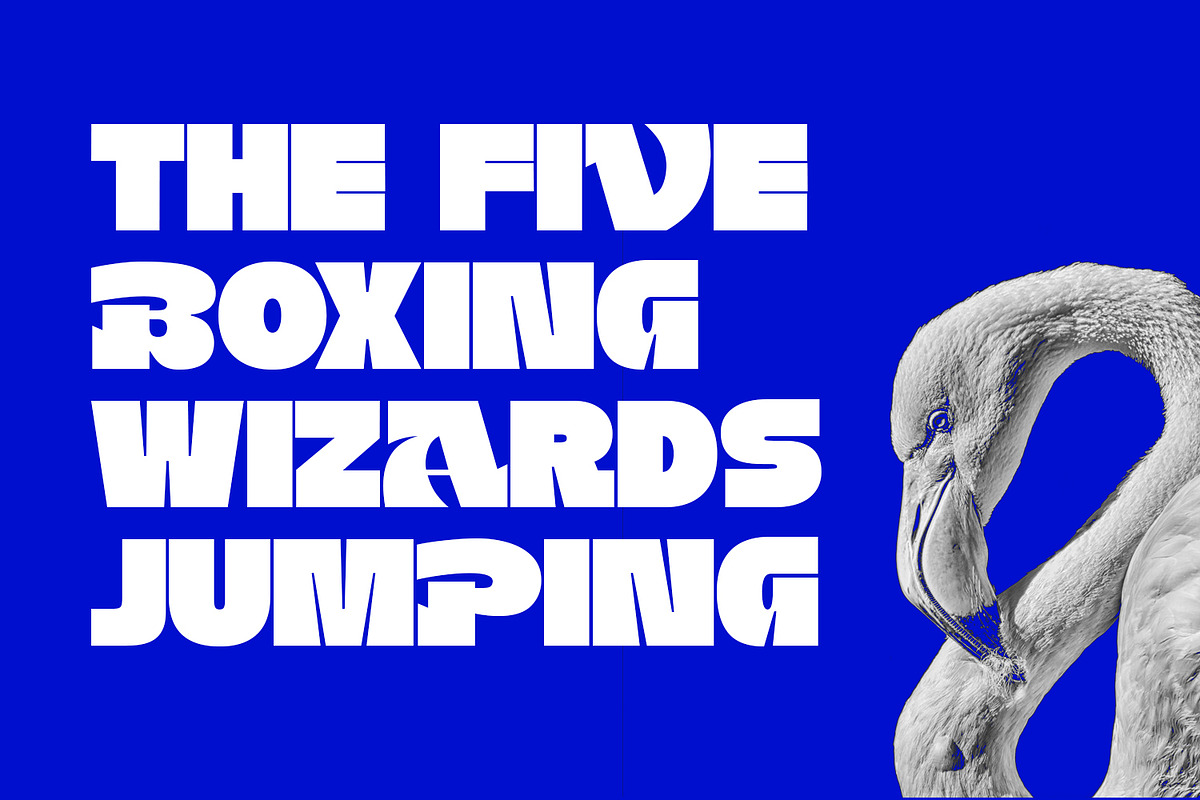 Bellyvia Serif Font, a Serif Font by Foxtype (Photo 2 of 5)
