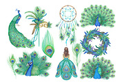 Watercolor Peacock Clipart Images, an Illustration by Whimseez (Thumbnail 2 of 4)